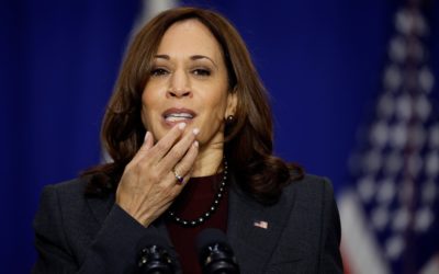 Facebook Twitter Flipboard Email Copy Kamala Harris asking Wall Street CEOs, business leaders for advice: report